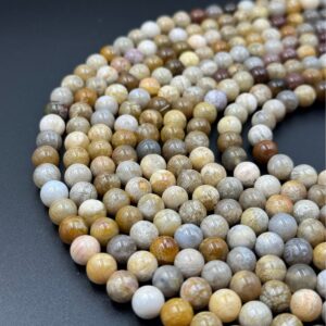 Khaki coral jade fossil round bead strands